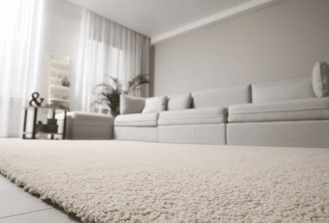 white carpet floor