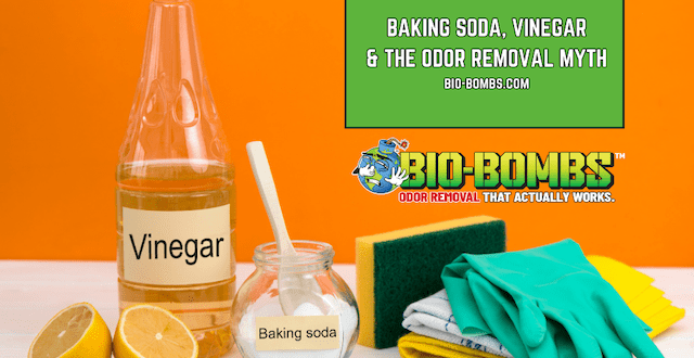 vinegar for odor removal